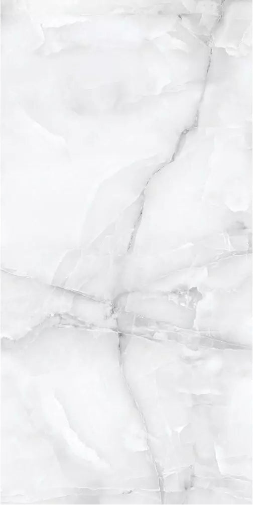 Onyx Grey Poliert 60 x 120 cm Boden- und Wandfliese (VPE 1,44 m²)