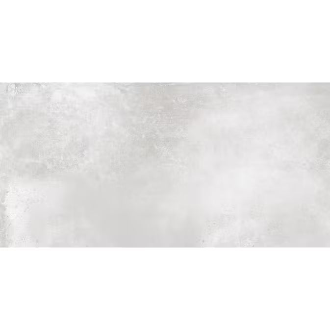 Antico Silver Poliert 60 x 120 cm Boden- und Wandfliese (VPE 1,44 m²)