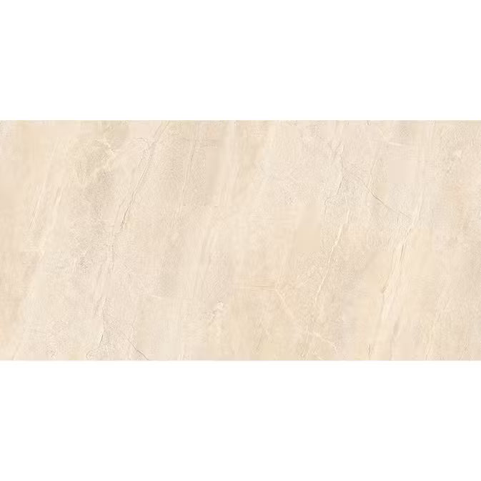 Dyna Silver Poliert 60 x 120 cm Boden- und Wandfliese (VPE 1,44 m²)