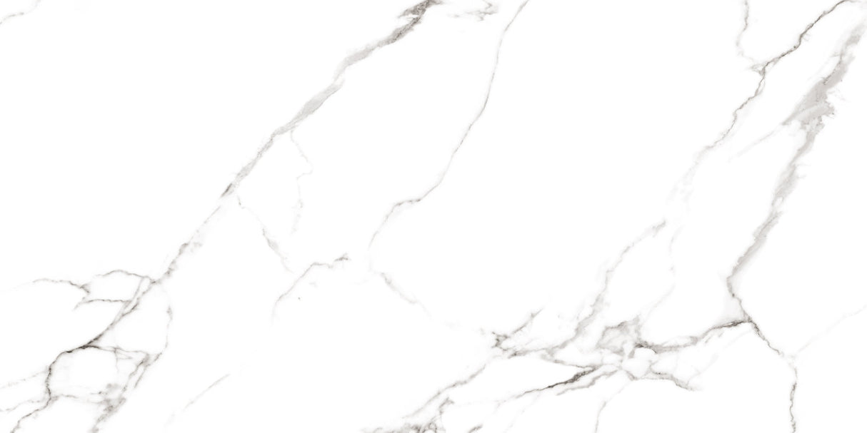 Mckinley Matt 60 x 120 cm Boden- und Wandfliese (VPE 1,44 m²)