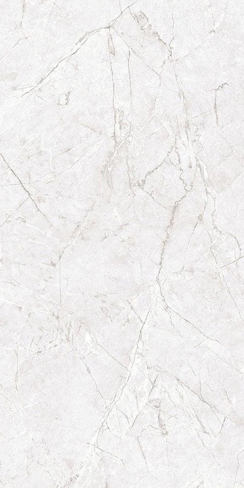 Champion Ash Grey Matt 60 x 120 cm Boden- und Wandfliese (VPE 1,44 m²)