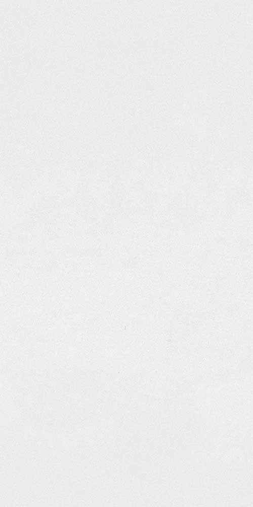 Ainson Silver Matt 60 x 120 cm Boden- und Wandfliese (VPE 1,44 m²)