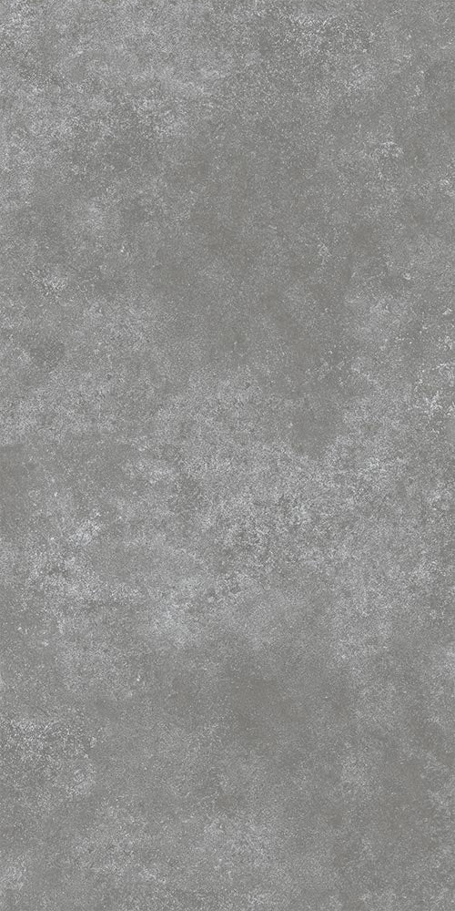 Cimmerian Gris Poliert 60 x 120 cm Boden- und Wandfliese (VPE 1,44 m²)