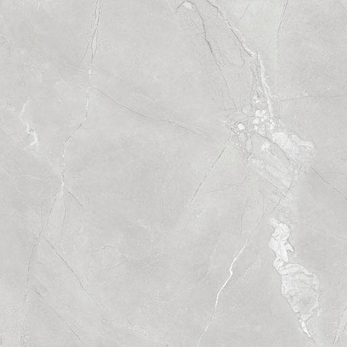 Malzer Silver Poliert 60 x 60 cm Boden- und Wandfliese (VPE 1,44 m²)