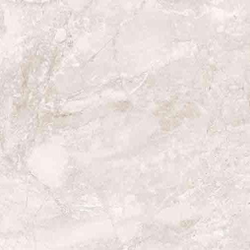 Nepan Silver Poliert 60 x 60 cm Boden- und Wandfliese (VPE 1,44 m²)