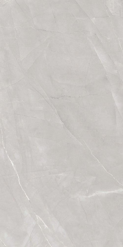 Faux Grey Matt 60 x 120 cm Boden- und Wandfliese (VPE 1,44 m²)