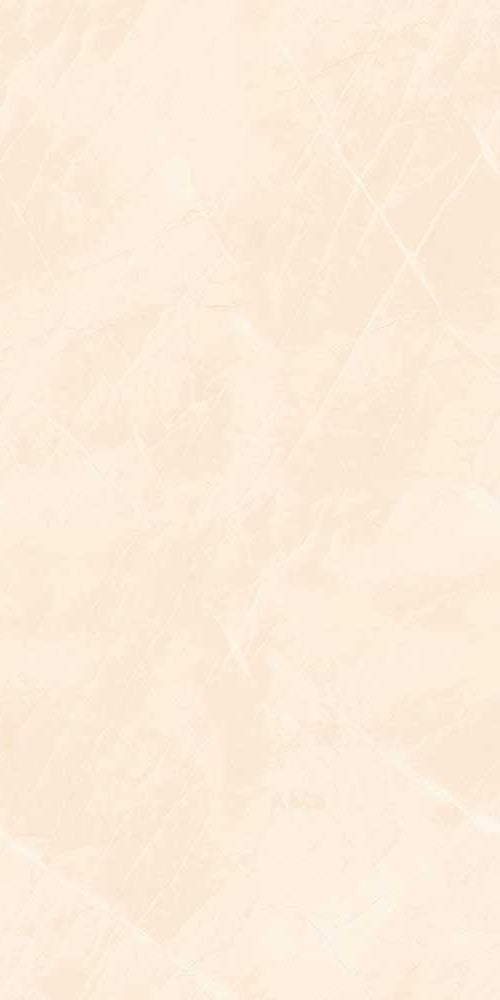 Akester Beige Poliert 60 x 120 cm Boden- und Wandfliese (VPE 1,44 m²)