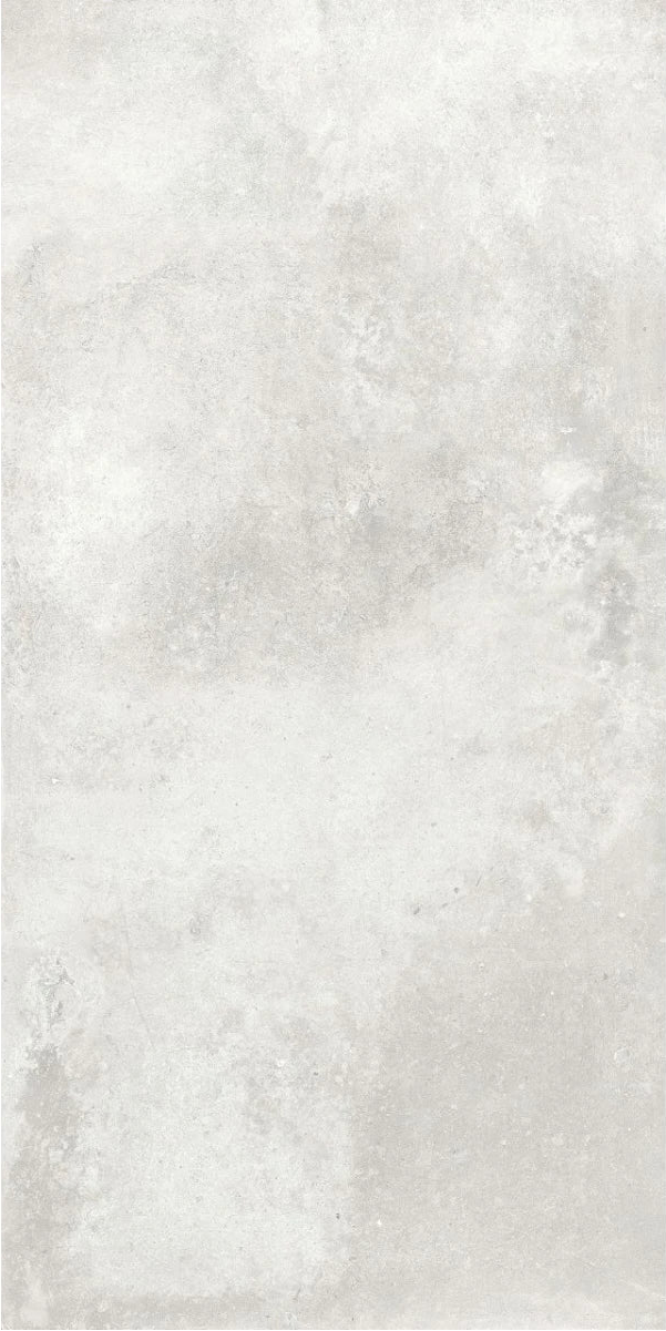 Antico Silver Poliert 60 x 120 cm Boden- und Wandfliese (VPE 1,44 m²)