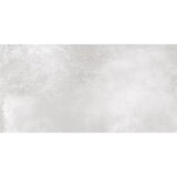 Antico Silver Poliert 60 x 120 cm Boden- und Wandfliese (VPE 1,44 m²)