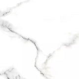 Carrara Poliert 60 x 60 cm Boden- und Wandfliese (VPE 1,44 m²)