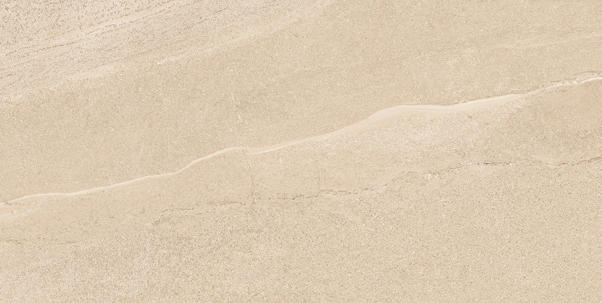 Eddystone Arena Matt 60 x 120 cm Feinsteinzeug Fliese (VPE 1,44 m²)