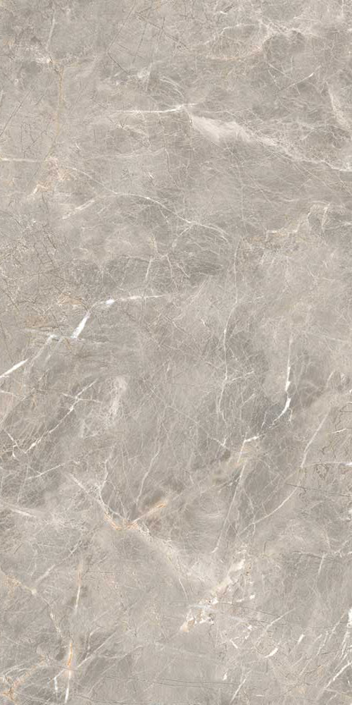 Frais Grey Poliert 60 x 120 cm Boden- und Wandfliese (VPE 1,44 m²)