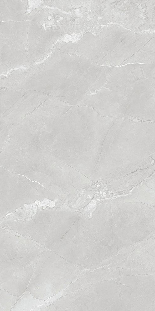 Malzer Silver Poliert 60 x 120 cm Boden- und Wandfliese (VPE 1,44 m²)