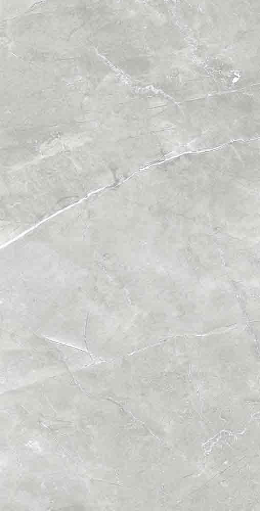 Caryl Silver Matt 60 x 120 cm Boden- und Wandfliese (VPE 1,44 m²)
