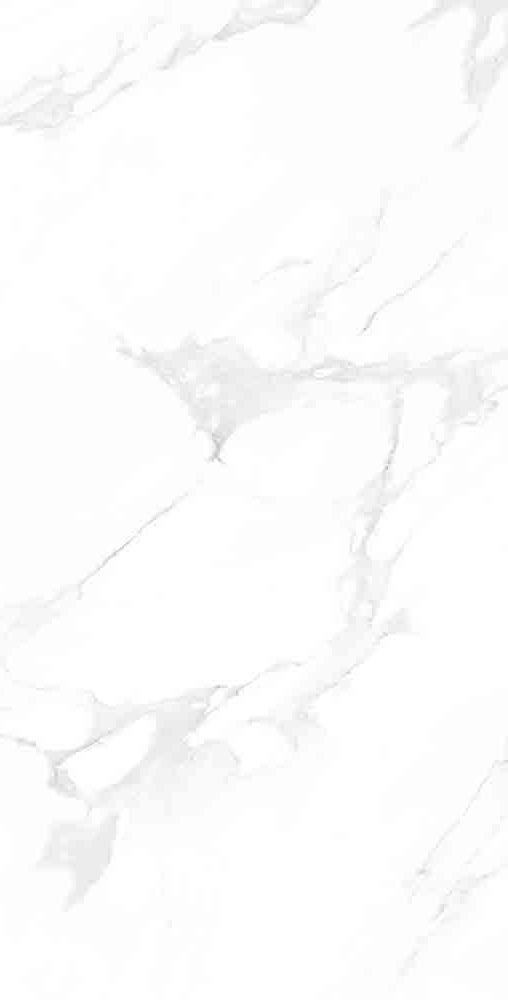 Carrara Snow Poliert 60 x 120 cm Boden- und Wandfliese (VPE 1,44 m²)