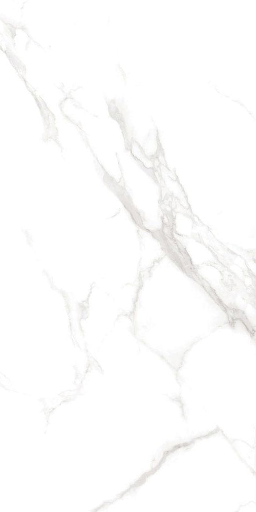 Hail Staturio Poliert 60 x 120 cm Boden- und Wandfliese (VPE 1,44 m²)