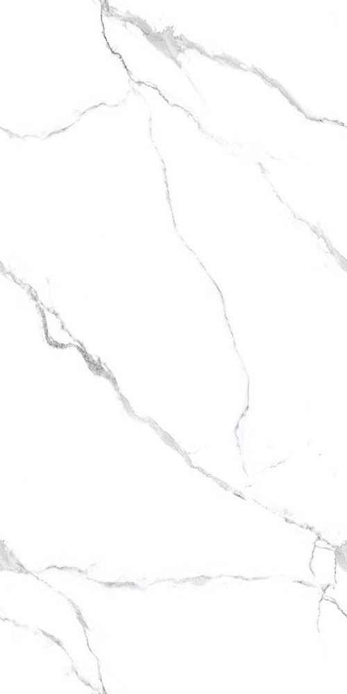 Camin Bianco Poliert 60 x 120 cm Boden- und Wandfliese (VPE 1,44 m²)