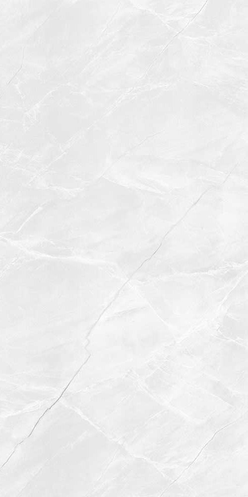 Summer Ash Poliert 60 x 120 cm Boden- und Wandfliese (VPE 1,44 m²)